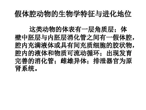 具有假体腔的动物——线虫动物门