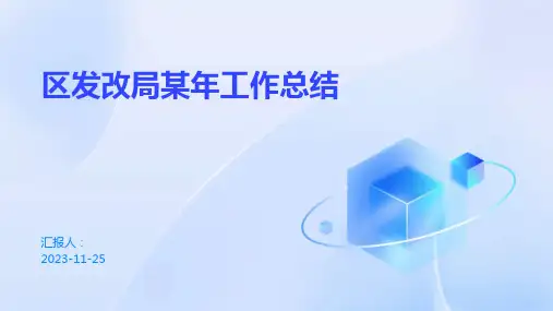 区发改局某年工作总结