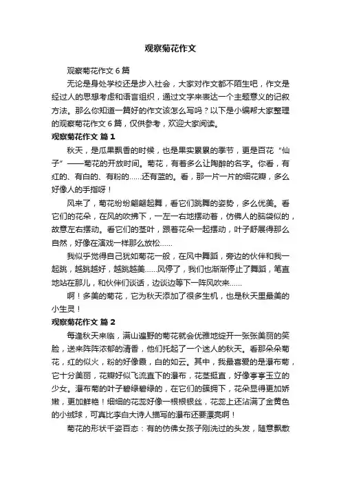 观察菊花作文6篇