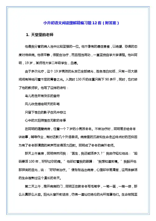 小升初语文阅读理解精编习题12套