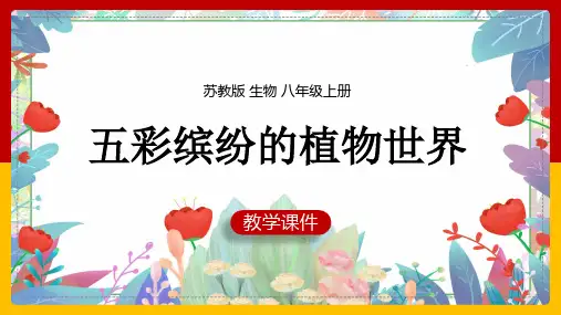 初中生物苏教版八年级上册《第14章第1节五彩缤纷的植物世界》课件(完美版)