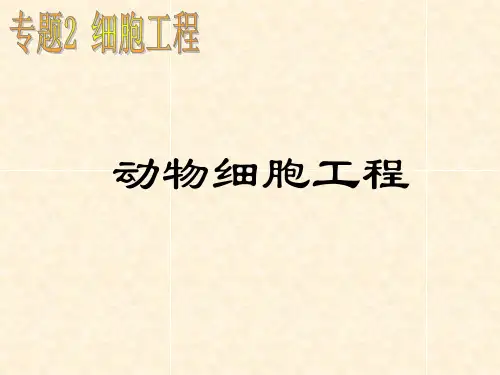 高中生物2.2 动物细胞工程名师公开课省级获奖课件人教版选修三