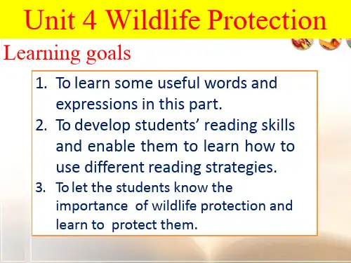 高中英语《必修2 Unit 4 Wildlife Protection》优质教学课件