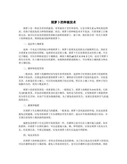 胡萝卜的种植技术