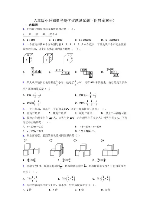 六年级小升初数学培优试题测试题(附答案解析)