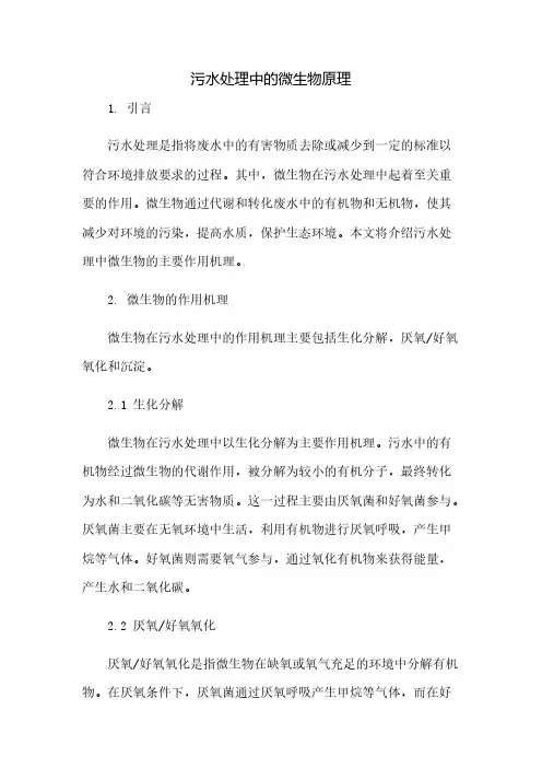 污水处理中的微生物原理