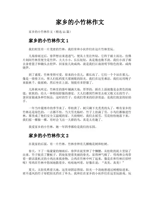 家乡的小竹林作文