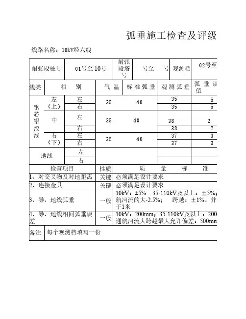 弧垂检查记录