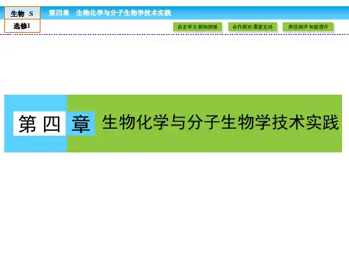 《金版新学案》2018-2019高中生物(苏教版)选修1课件：第四章 生物化学与分子生物学技术实践 第4章 第1节