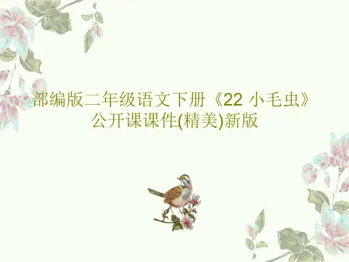部编版二年级语文下册《22 小毛虫》公开课课件(精美)新版共66页