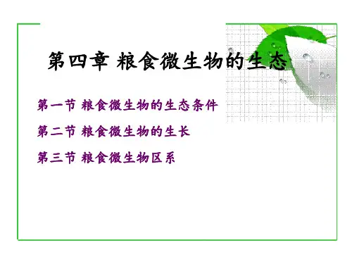 粮食微生物-4