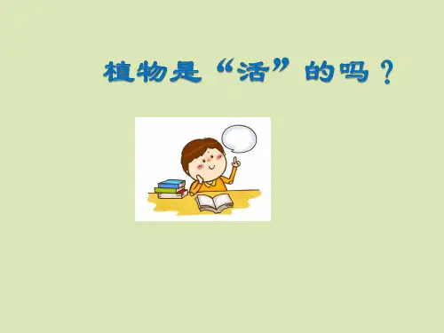 一年级上册科学课件15植物是活的吗 (19) l 教科版 25