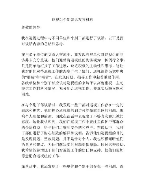 巡视组个别谈话发言材料