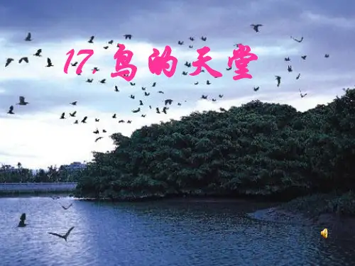 《鸟的天堂》六上1PPT课件