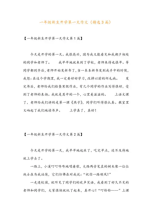 一年级新生开学第一天作文(精选3篇)