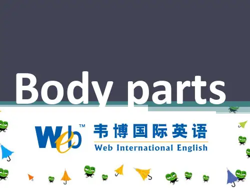 Body_parts_身体部位英语讲解(附图)