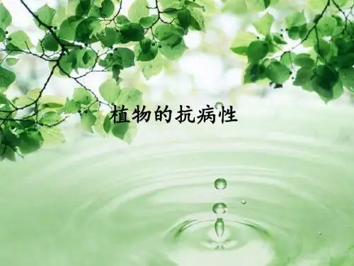 植物的抗病性-PPT文档资料