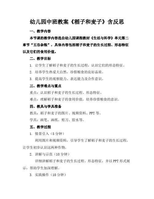 幼儿园中班教案《稻子和麦子》含反思
