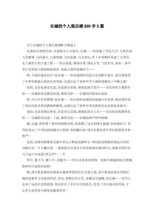 长城的个人观后感800字5篇
