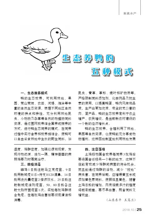 生态养鸭的五种模式