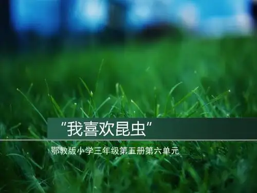 三年级语文上册第六单元“我喜欢昆虫”PPT课件1鄂教版