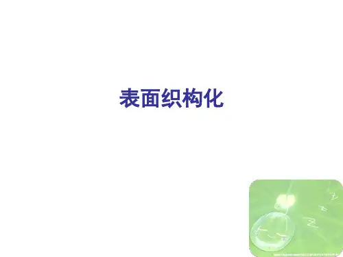 仿生智能纳米界面材料研究资料