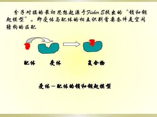 分子对接