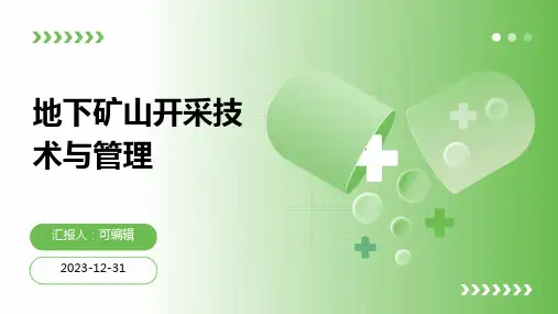地下矿山开采技术与管理