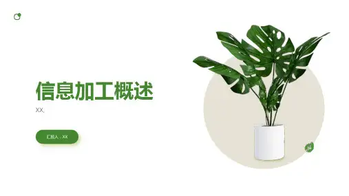 信息加工概述