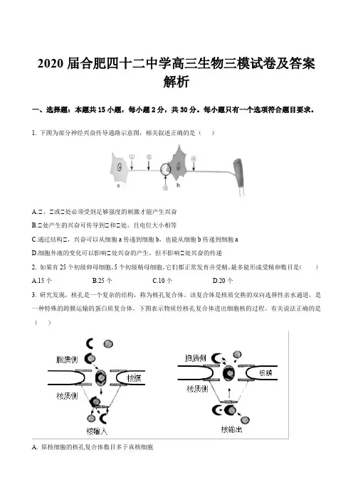 2020届合肥四十二中学高三生物三模试卷及答案解析