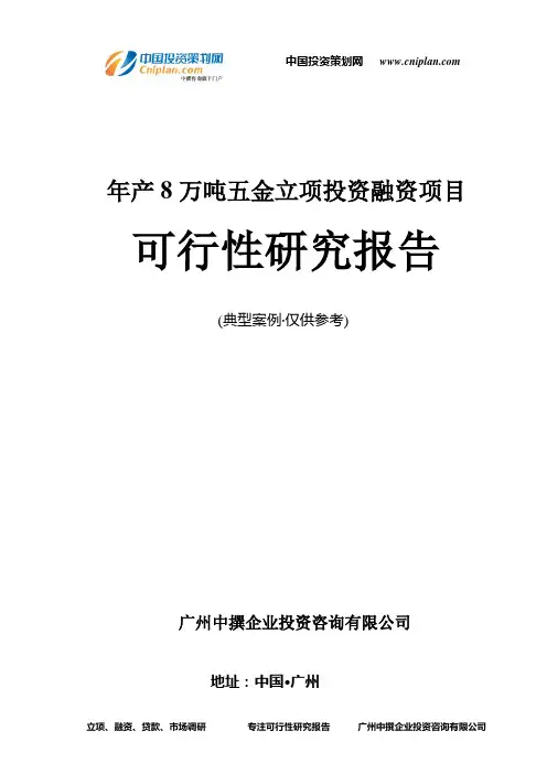 年产8万吨五金融资投资立项项目可行性研究报告(非常详细)