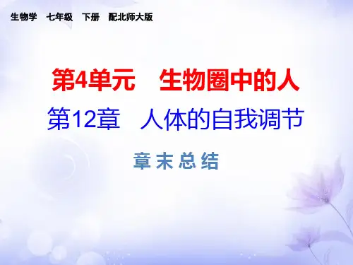2019春北师大版七年级生物下册课件：第12章  章末总结(共33张PPT)