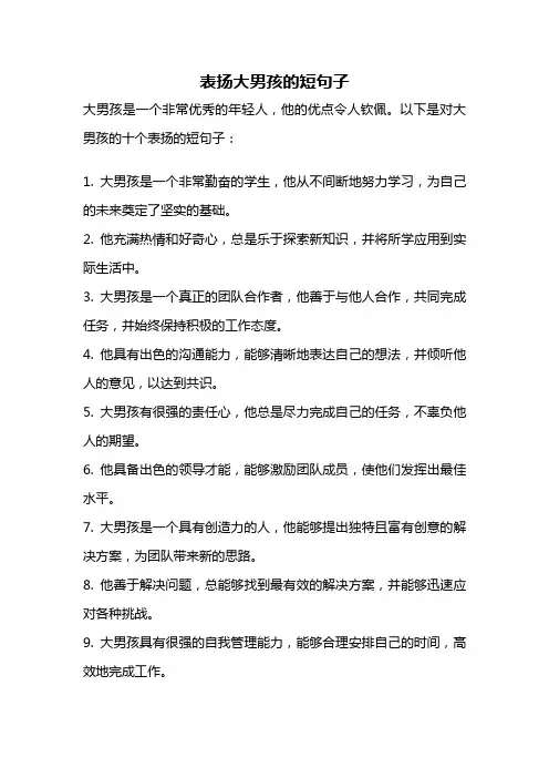 表扬大男孩的短句子