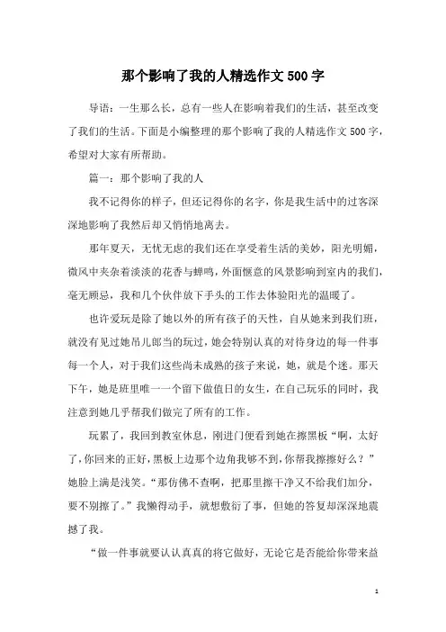 那个影响了我的人精选作文500字