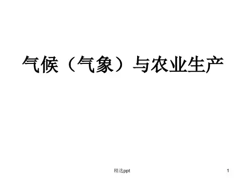 气候对农业的影响专题ppt课件
