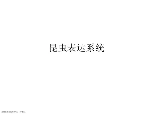 昆虫表达系统