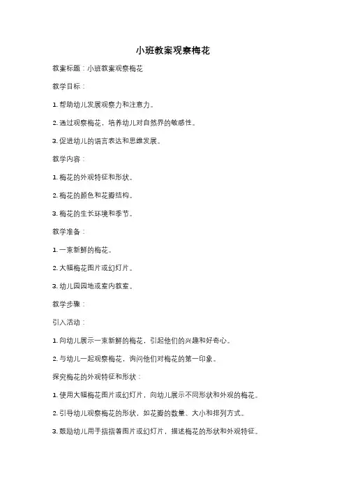 小班教案观察梅花