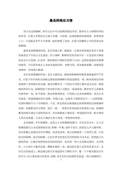 最是梧桐总关情