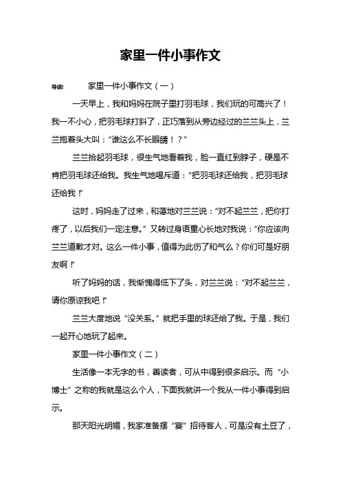 家里一件小事作文
