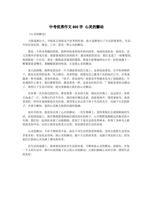 中考优秀作文600字 心灵的颤动