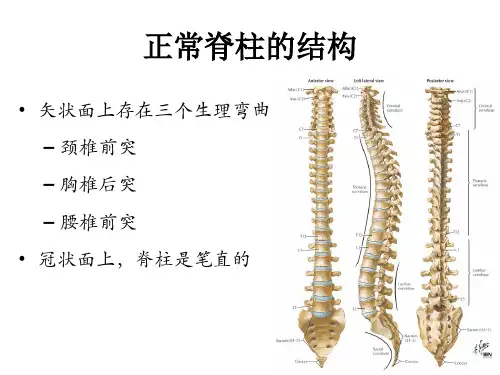 2018年脊柱侧弯概述-文档资料