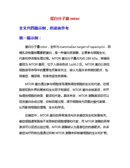 蛋白分子量mtor