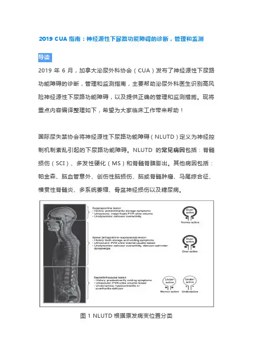 2019 CUA指南：神经源性下尿路功能障碍的诊断,管理和监测