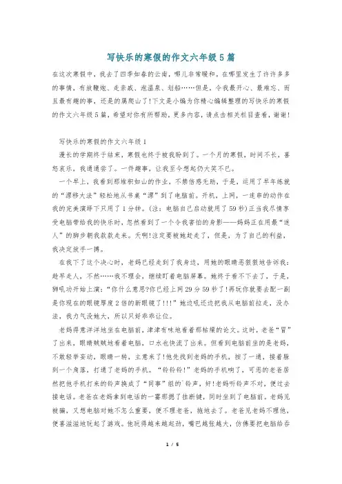 写快乐的寒假的作文六年级5篇