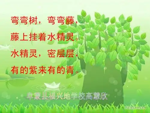 葡萄沟第一课时