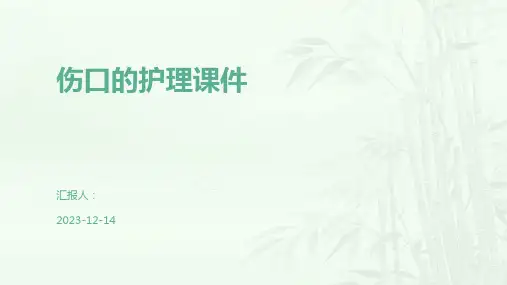 伤口的护理课件