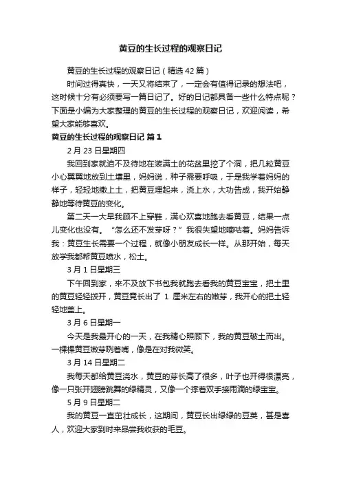 黄豆的生长过程的观察日记（精选42篇）