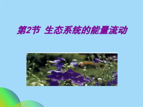 生态系统的能量流动-(共53张PPT)