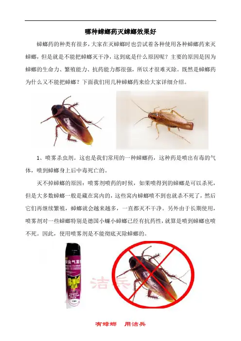 哪种环保蟑螂药灭大小蟑螂效果好