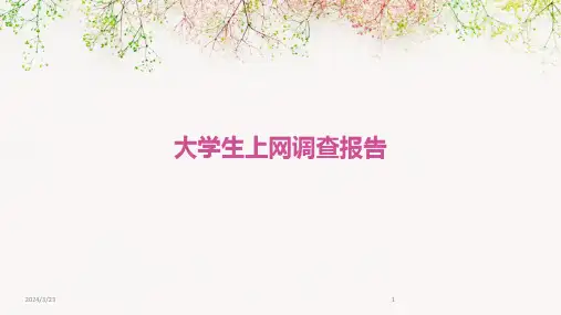 2024年度大学生上网调查报告